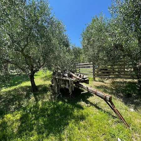 Del Colle Merlot 3* Bevagna