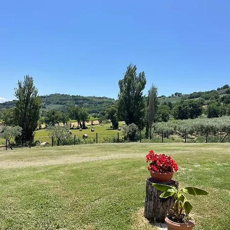 Del Colle Merlot Panzió