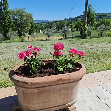 Del Colle Merlot Bed and Breakfast Bevagna
