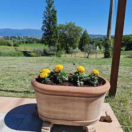 Bed and Breakfast Del Colle Merlot Bevagna